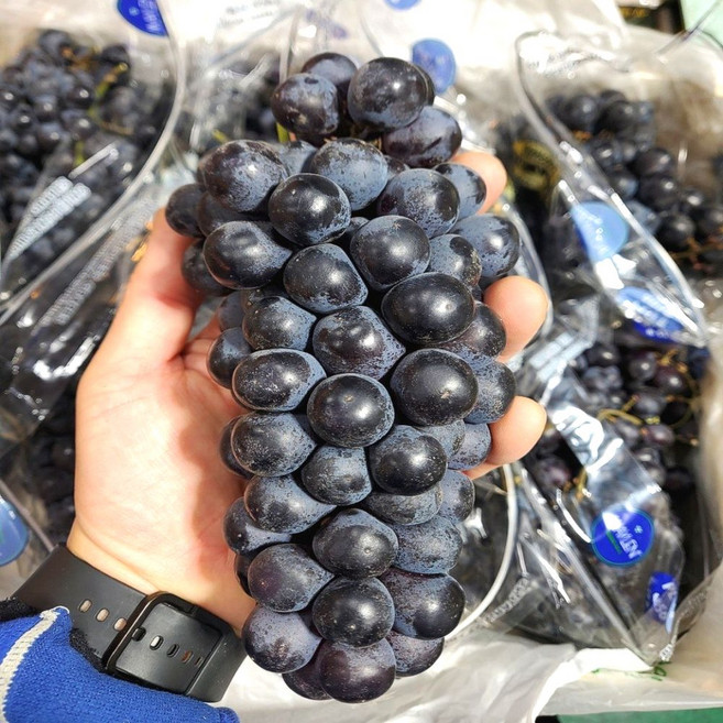 프리미엄 고당도 씨없는 블랙포도 1Kg, 1개
