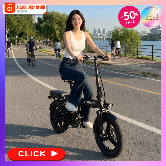 리트바 국산 리튬배터리 접이식 전기자전거 고출력 모터 전동 PAS 배달 대리운전 출퇴근, 프리미엄, 경량스틸