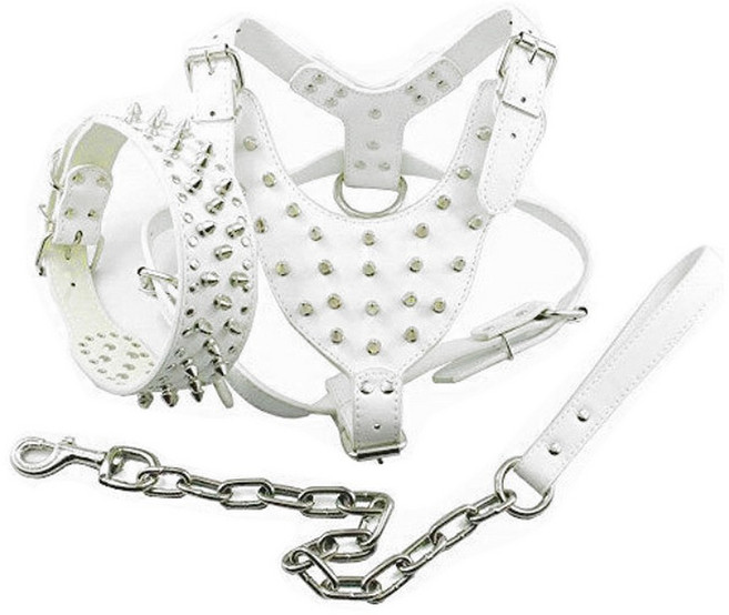 (당일발송) 이지유 애견 가죽 스터드 하네스 목줄 세트, 1개, 화이트