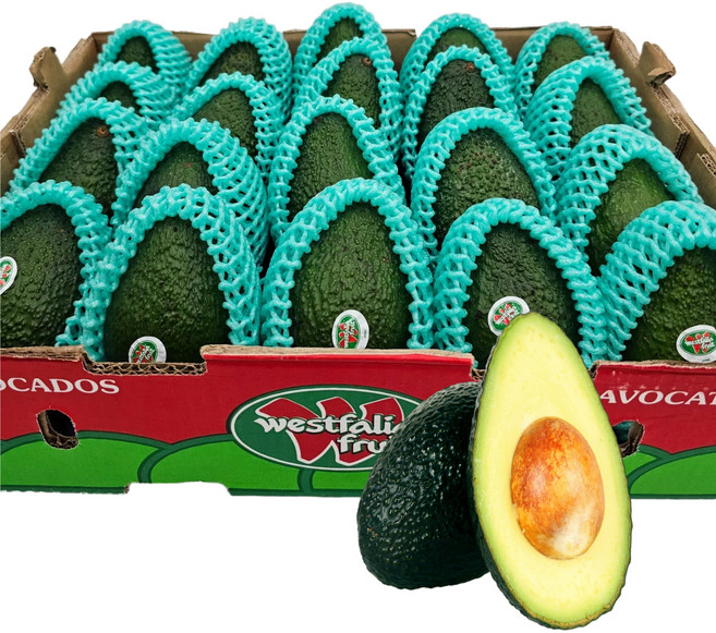 [재구매1위] Westfalia 프리미엄 아보카도 생과, 1박스, 3.3kg (15-18과)