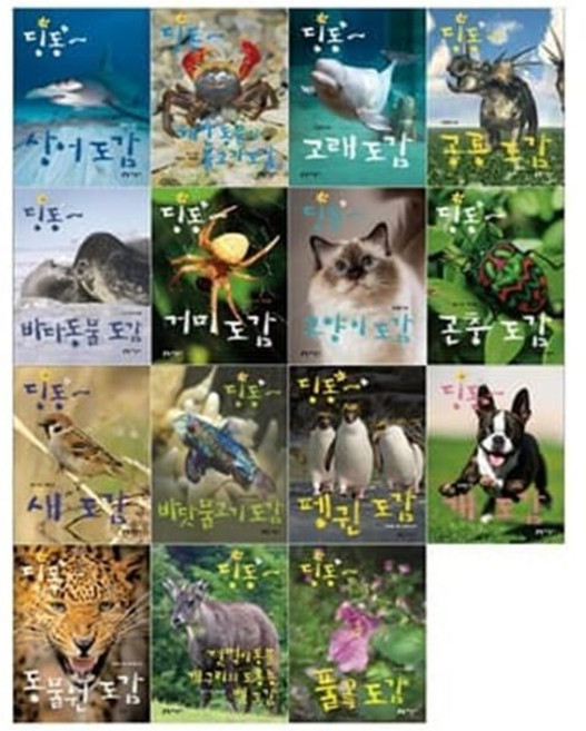 [전집] 딩동~ 도감 15권시리즈(상어+해안동물과물고기+고래+공룡+바다동물+거미+고양이+곤충+새+바닷물고기+펭귄+개+동물원+젖먹이동물개구리와+풀꽃) : [문..., 지성사(전집)