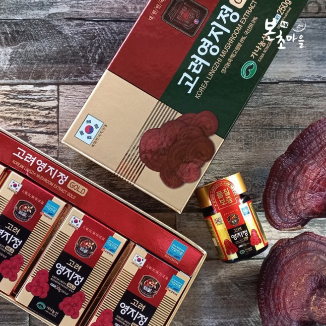 [본초마을] [본초마을]고려영지정골드(250g) 영지농축액 영지정 영지버섯 약재 한약재 홍삼, 250g, 1개