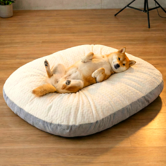 르오망 푹신 반려동물 방석 꿀잠 쿠션, 1개, 화이트그레이