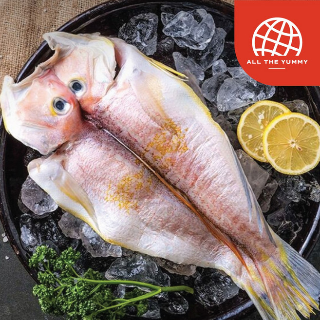 [올더야미]명품 제주참옥돔 5미(반건조) 2킬로그람 내외 특대사이즈 31센치 이상, 1세트, 일반패키지