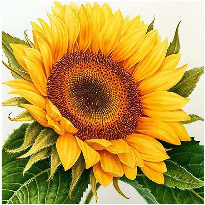 히여 보석 십자수 DIY 패키지 3D 90여종 도안 소형 중형 대형 시리즈, 03. 해바라기 BH-198, 1세트