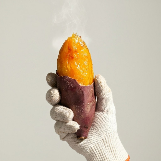 산들해 비세척 한입 해남 고구마 꿀고구마, 1개, 5kg