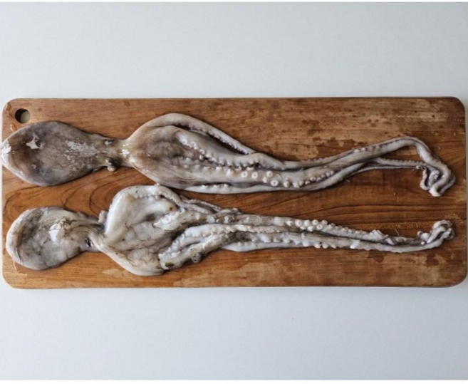 하남 초대왕 S급 낙지 대형 낙지수산 해물요리 2미 950g, 1