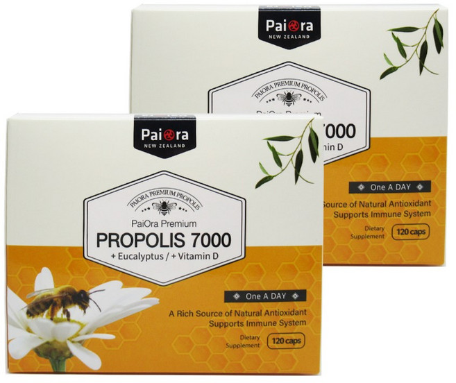 플라보노이드84mg함유 프로폴리스 파이오라 프로폴리스 7000 240캡슐, 1개, 240정