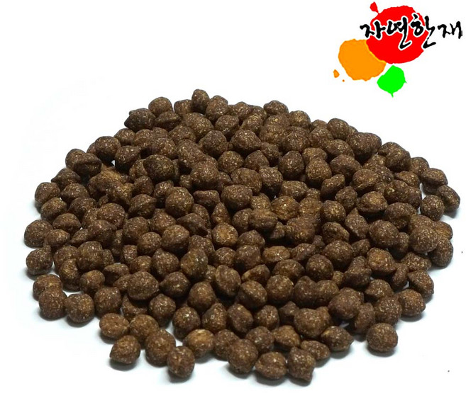 자연한재 국산 느릅나무환 300g 유근피환 느릅나무껍질 느릅나무, 1개