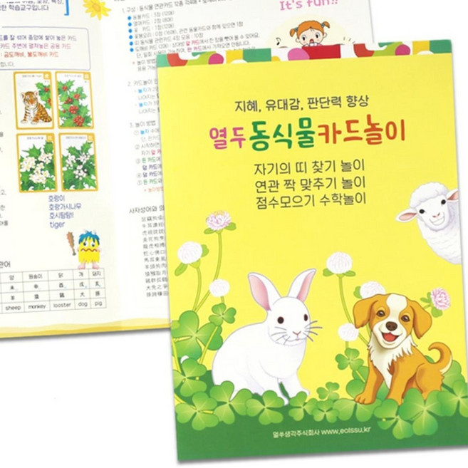 국산 유아 어린이 사자성어 카드 십이지 동물 식물 카드놀이 아동카드 유아교구