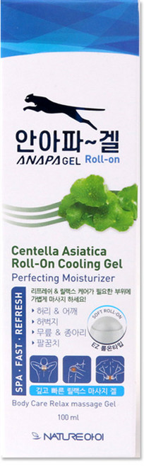 안아파겔 100ml, 1개입, 1개