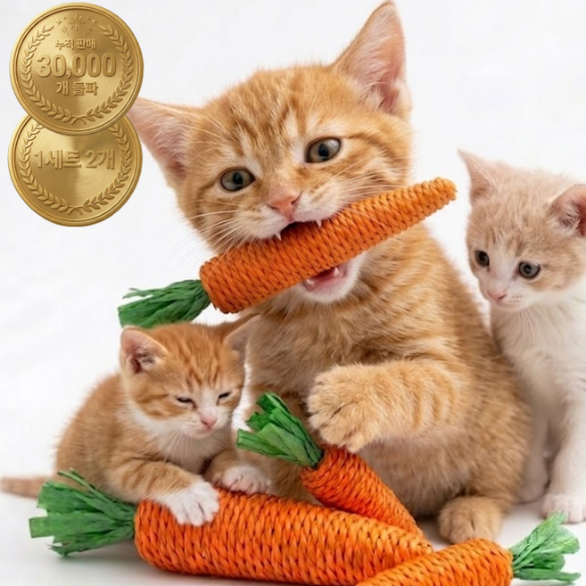 테일즈락 기절할뻔 고양이 장난감 애착인형 스크레쳐, 1세트, 당근