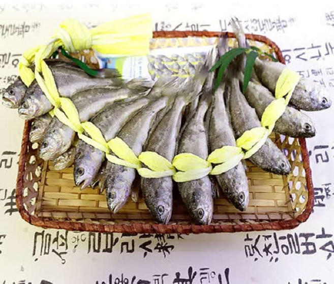 영광 법성포 국보 굴비 세트 5호 1.4kg 20미