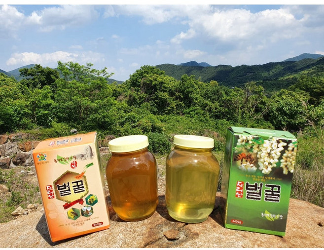 25년 햇꿀 지리산 아카시아 벌꿀 6병, 2.4kg, 1박스