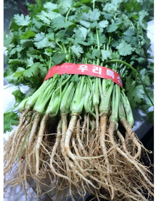 농장에서 갓 작업한 고수 2단 (600G) 고수풀 고수나물, 300g, 2개