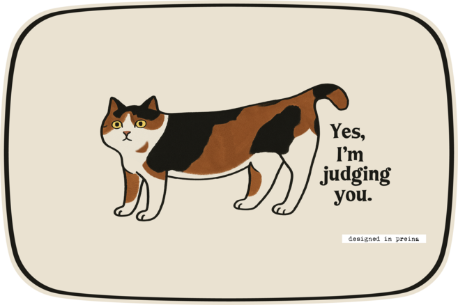 프레이나 빨아쓰는 규조토 발매트 욕실 주방 인테리어 5세대 매트, 도도냥냥 카오스캣