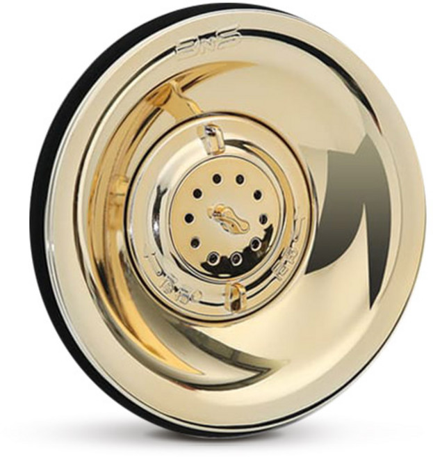 하이쇼핑 BNS 싱크싹싹 싱크대 씽크대 배수구 하수구 트랩 냄새차단 덮개 세정제, 1세트, 골드