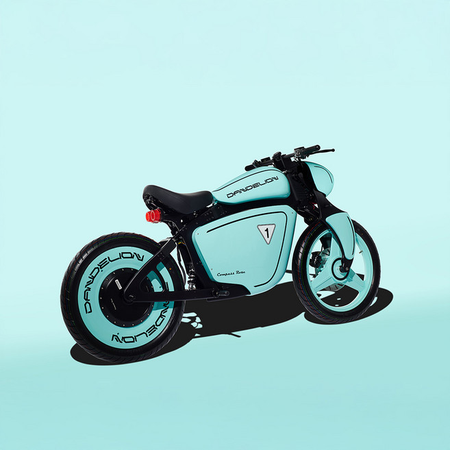 컴파스로즈 댄드라인언PM-출퇴근용 전기바이크, 민트