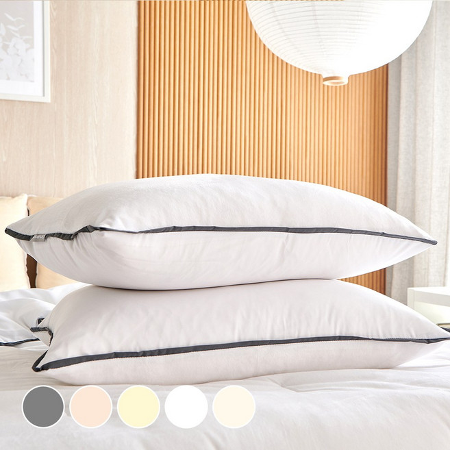 데시뉴 뉴노멀 항균 극세사 베개커버 2P