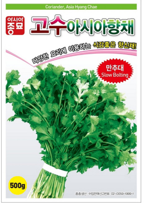 아시아종묘 씨앗 고수 아시아향채 500g, 1개