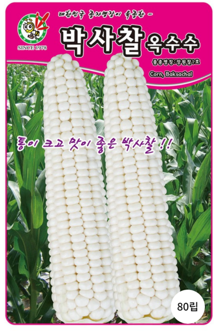 찰옥수수 씨앗 박사찰 80립 오스템바이오 찰기가 높고 통이 큰 옥수수, 1개