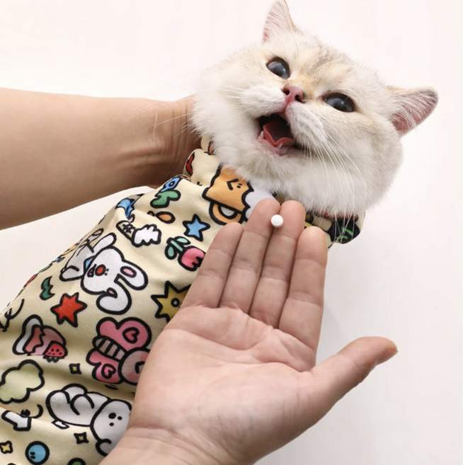 고양이 미용 매직 보자기 자석 벨크로 다용도 파우치, 1개, 동물농장