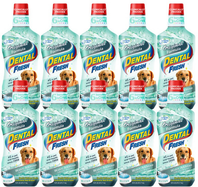 시너지랩 독 덴탈 후레쉬 503ml(물에 섞어주는 치약), 503ml, 10개, 오리지널