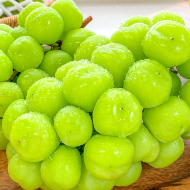경상북도 김천 고당도 프리미엄 샤인머스켓, 1개, 2kg ( 3수-4수 )