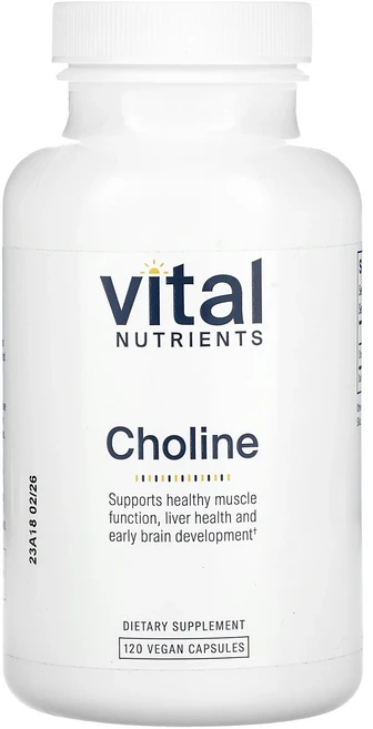 Vital Nutrients 콜린 베지 캡슐 120정(캡슐 1정당 275mg), VitalNutrients콜린베지캡슐120정캡슐1정당2 - 쿠팡