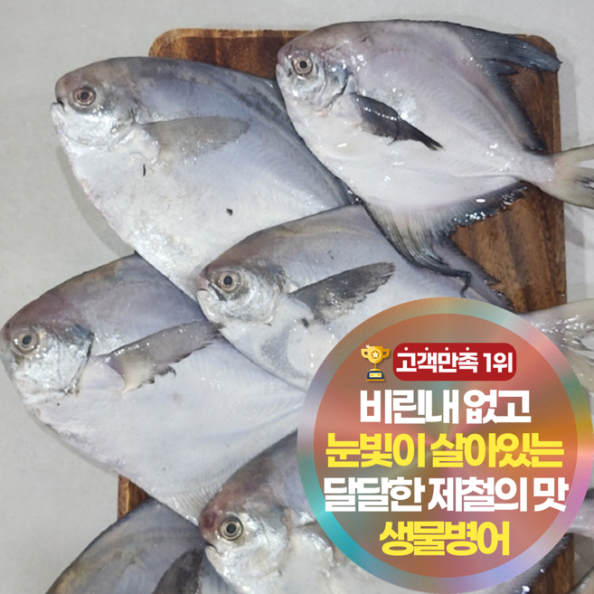 삼시세끼연구소 감칠맛 터지는 4주한정 조림용 횟감용 생물병어, 1세트, 1kg