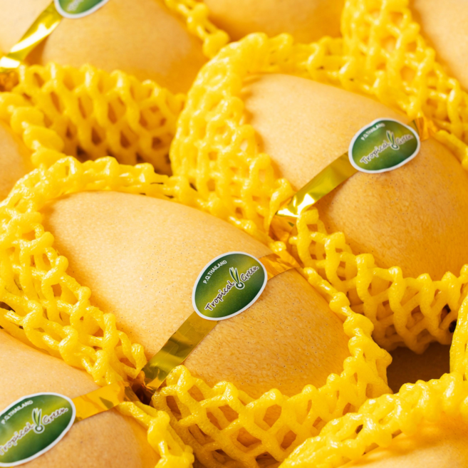 [항공직송] 남독마이 골드망고 고당도 프리미엄, 1박스, 5kg 내외 (18-20과 내외)