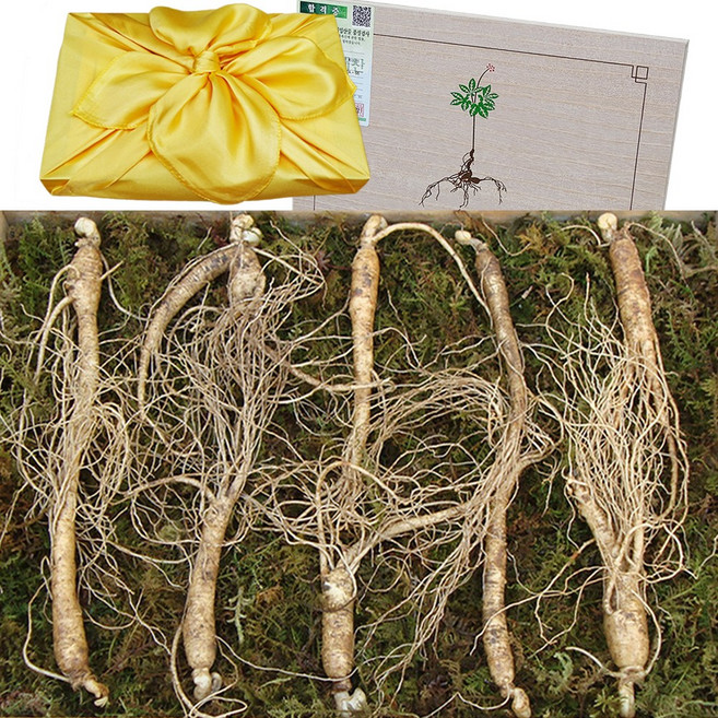 아리아리산삼 6년근 5뿌리 10뿌리 15뿌리 20뿌리 산삼 산양삼 장뇌삼 산양산삼 설 추석 선물세트, 43g, 1개