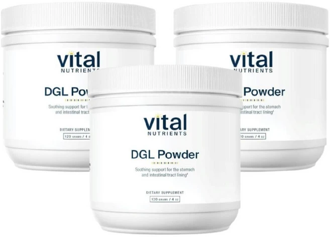 바이탈 DGL 파우더 분말 감초추출물 디지엘 120g 3개, 1세트, 360g - 쿠팡