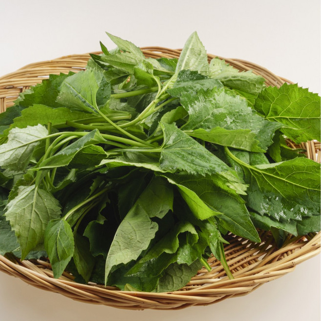 [백화점납품용] 더좋은 국내산 취나물 참취나물, 1개, 취나물2kg