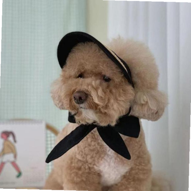 애견 강아지모자 강아지 여름 리본 밀집 모자 아이보리 블랙 썬캡