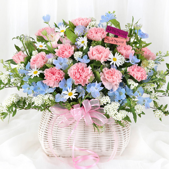 (오늘도착) 어버이날 카네이션 꽃바구니 핑크 블루 생화 부모님선물 어버이날선물 카네이션꽃바구니 효도선물 당일꽃배달 [ST-A2076], 1개, A2076