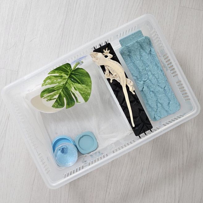 크레마루 JIF 적재형 사육장 (대) 풀세트, 1세트, 스카이