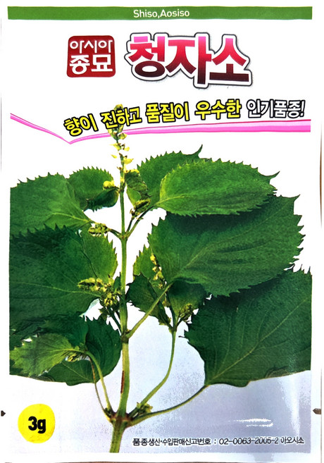 [주주씨앗] 시소씨앗 3g / 청자소 차조기 시소 일본깻잎 허브 종자 / 봄 파종 허브 씨앗, 1개