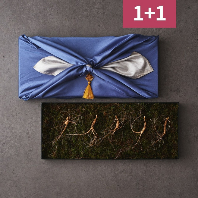 상산재 평창산삼 산양삼 5년근 5뿌리 1+1세트 장뇌삼 산양산삼, 15g, 2세트