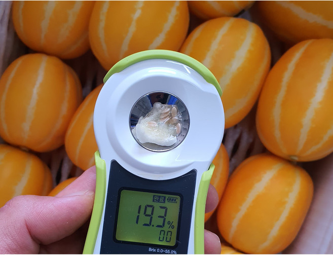 성주 꿀참외 고당도 당도보장 산지직송 진짜 달콤한 프리미엄 과일, 1박스, 10kg선물용