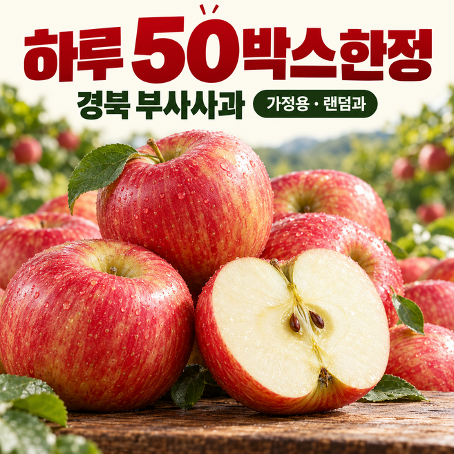 [하루딱50박스한정]가정용 햇 부사 사과 꿀당도 온유플로우, 1박스, 3kg