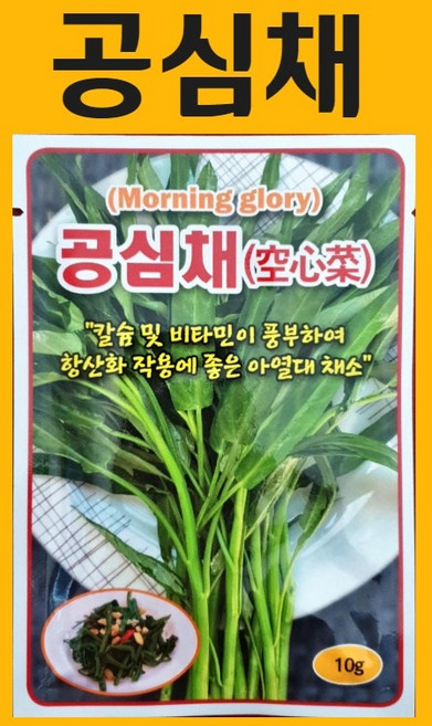 농사친구 공심채 10g 씨앗 동원 씨 종자 쪽파 고사리 명이나물 산상추 초당옥수수 항암배추 담배 산마늘 아스파라거스 고수, 1개