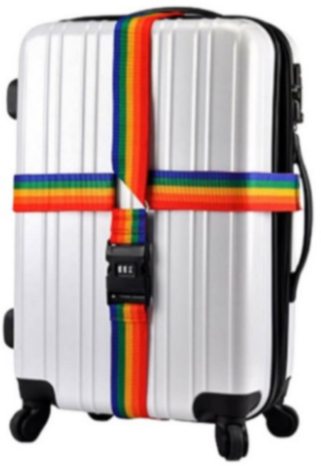 담픽 캐리어 벨트 안전 잠금 벨트