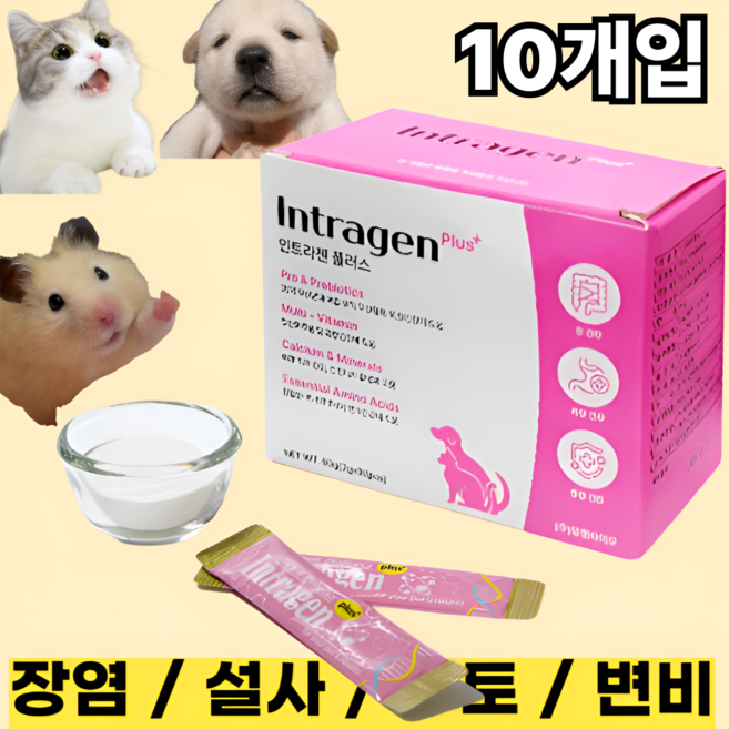 [인트라젠] 장염 설사 구토 변비 면역력강화 유산균 영양제 강아지 고양이 햄스터, 10포, 1세트