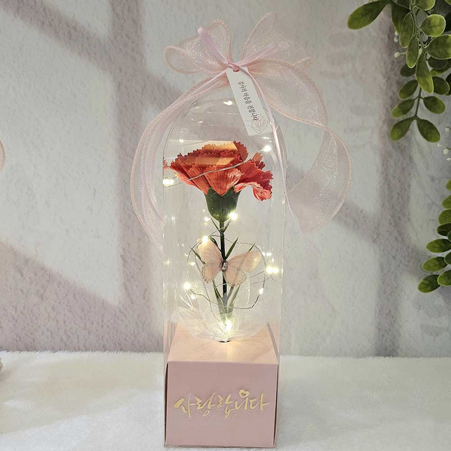 led 카네이션 한송이 어버이날 카네이션 스승의날 졸업선물 사각투명창 캐리어, 1개, 레드