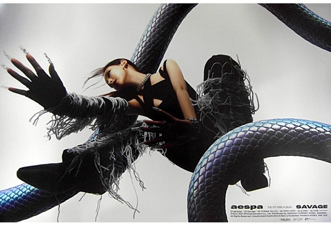 (브로마이드1종+지관통) 에스파 (aespa) - Savage Hallucination Quest 카리나 포스터