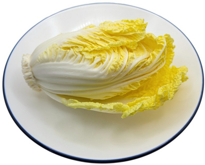 농장직송 알배기 배추 12수 (5.5~8kg), 1박스, 5.5kg