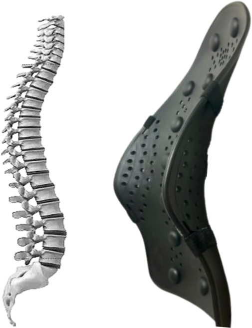 밤비쉬 요추전만 등받이 색상랜덤, 1개