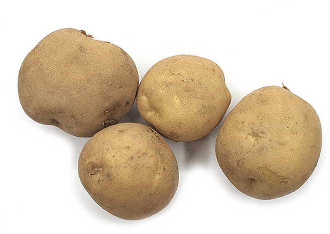 야채왕 감자 500G/ 1KG/ 3KG/ 5KG/ 10KG, 감자2개, 2개