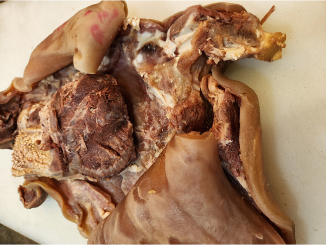 한우 삶은소머리고기 반마리 우설미포함 2.4kg 내외 완벽손질 소머리수육 소머리국밥 소머리곰탕 머릿고기, 1개, 2kg